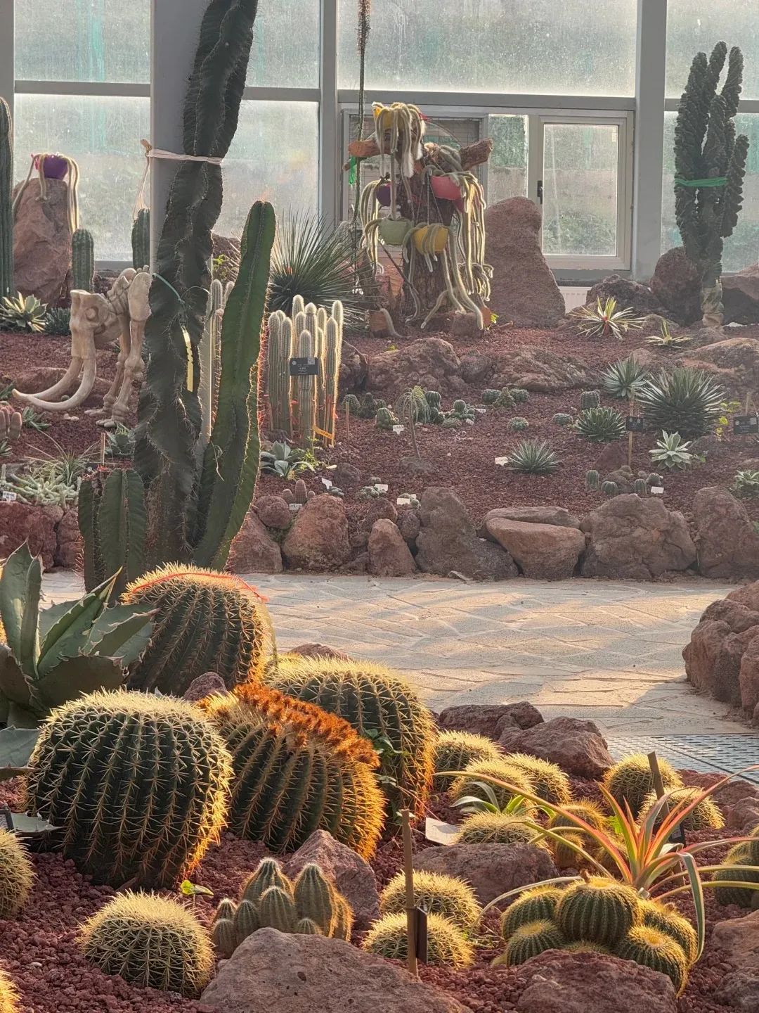 ֲ@_^MᎧеܷܷСtW(wng)퓰